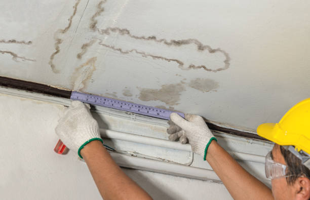 Reliable Mold Remediation contractor in Marysville, MI by Local Water Damage Repair